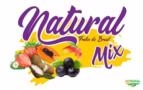DISTRIBUIÇÃO OU REPRESENTAÇÃO DE POLPAS DE AÇAÍ Imagem DISTRIBUIÇÃO OU REPRESENTAÇÃO DE POLPAS DE AÇAÍ