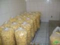 BATATA FRITA, FÁBRICA DE LUCROS Imagem BATATA FRITA, FÁBRICA DE LUCROS