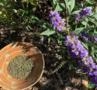 Vitex-Agnus Castus Imagem Vitex-Agnus Castus