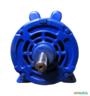Motor elétrico 1,5 cv 1,5 hp Monofásico weg Eberle 1700 rpm 4 polos C2109 Imagem Motor elétrico 1,5 cv 1,5 hp Monofásico weg Eberle 1700 rpm 4 polos C2109