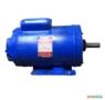 Motor elétrico 1,5 cv 1,5 hp Monofásico weg Eberle 1700 rpm 4 polos C2109 Imagem Motor elétrico 1,5 cv 1,5 hp Monofásico weg Eberle 1700 rpm 4 polos C2109