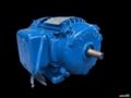 Motor elétrico 3/4 cv Tri 1700 rpm 4 p Recondicionado C3004 - Estado: Revisado não WEG Imagem Motor elétrico 3/4 cv Tri 1700 rpm 4 p Recondicionado C3004 - Estado: Revisado não WEG