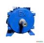 Motor elétrico 1 cv Tri 1700 rpm 4 p Recondicionado C3005 - Estado: Revisado não WEG Imagem Motor elétrico 1 cv Tri 1700 rpm 4 p Recondicionado C3005 - Estado: Revisado não WEG