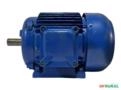 Motor elétrico 2 cv Tri 1700 rpm 4 p Recondicionado C3007 - Estado: Revisado não WEG Imagem Motor elétrico 2 cv Tri 1700 rpm 4 p Recondicionado C3007 - Estado: Revisado não WEG