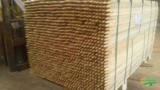 Compra de madeiras serrada de Pinus, Eucalipto e Teca para exportação e mercado interno Imagem Compra de madeiras serrada de Pinus, Eucalipto e Teca para exportação e mercado interno