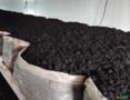 Composto orgânico Cobertura Cogumelos Imagem Composto orgânico Cobertura Cogumelos