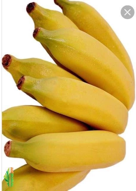 Banana prata Imagem Banana prata