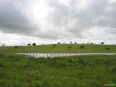 Procuro arrendamento área rural na região de Campos/RJ Imagem Procuro arrendamento área rural na região de Campos/RJ