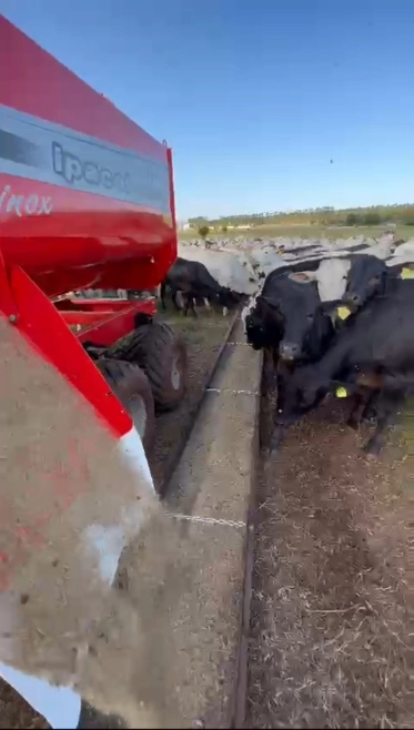 Vendo Correia Transportadora- Nova e SemiNova, Borracha pra Coxo e Saiao Caminhao Imagem Vendo Correia Transportadora- Nova e SemiNova, Borracha pra Coxo e Saiao Caminhao