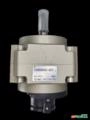 CILINDRO ROTATIVO CDRB1BW80-180S Imagem CILINDRO ROTATIVO CDRB1BW80-180S