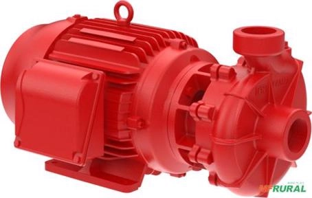 Bomba FAMAC Para Incêndio FNI3 2.1/2 X 2.1/2 191MM 30CV Rosca - Voltagem: TRIF. 220/380/440V. Imagem Bomba FAMAC Para Incêndio FNI3 2.1/2 X 2.1/2 191MM 30CV Rosca - Voltagem: TRIF. 220/380/440V.
