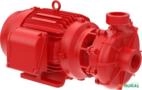 Bomba FAMAC Para Incêndio FNI3 2.1/2 X 2.1/2 191MM 30CV Rosca - Voltagem: TRIF. 220/380/440V. Imagem Bomba FAMAC Para Incêndio FNI3 2.1/2 X 2.1/2 191MM 30CV Rosca - Voltagem: TRIF. 220/380/440V.
