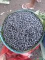 Açaí 100% Natural Imagem Açaí 100% Natural