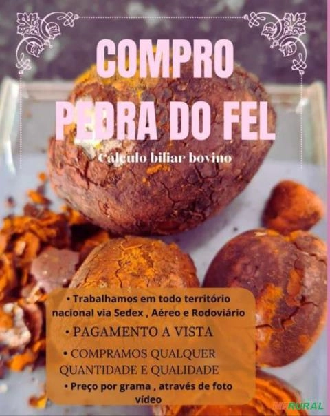 Pedra do Fel do Boi Imagem Pedra do Fel do Boi