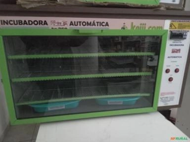 CHOCADEIRA INCUBADORA DE 300 OVOS Imagem CHOCADEIRA INCUBADORA DE 300 OVOS