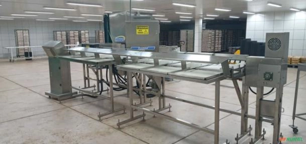 Classificadora De Ovos Inovus Smart-60 - Capacidade de 21.600 ovos ou 60cx por hora Imagem Classificadora De Ovos Inovus Smart-60 - Capacidade de 21.600 ovos ou 60cx por hora