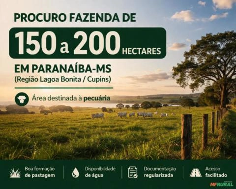 Procuro Fazenda de 150 a 200 Hectares em Paranaíba-MS (Região Lagoa Bonita / Cupins) Imagem Procuro Fazenda de 150 a 200 Hectares em Paranaíba-MS (Região Lagoa Bonita / Cupins)