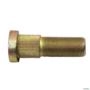 PARAFUSO RODA TRASEIRA BM (81953500) 31796200 100941 Imagem PARAFUSO RODA TRASEIRA BM (81953500) 31796200 100941