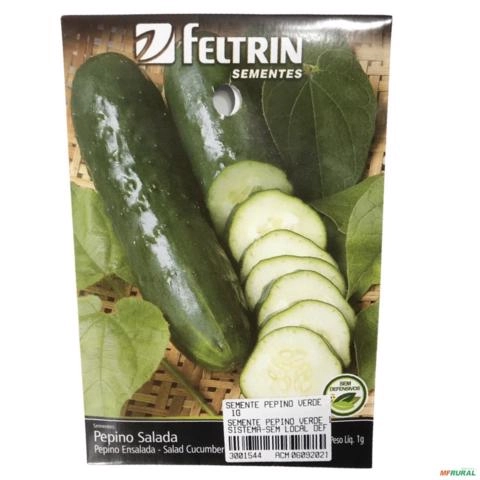 SEMENTE PEPINO VERDE 1G SEMENTE PEPINO VERDE 1g 3001544 Imagem SEMENTE PEPINO VERDE 1G SEMENTE PEPINO VERDE 1g 3001544